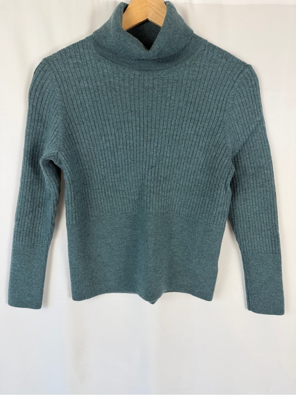 Halston Women's Extra Fine Merino Wool Ribbed Turtleneck Sweater in Teal